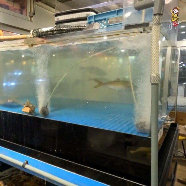 Isomaru Suisan Ueno ร้านอิซากายะ Izakaya japan