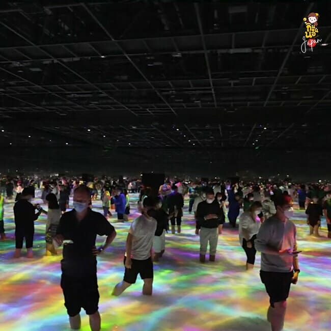 teamLab Planets อาร์ตมิวเซียม exhibition นิทรรศการ ญี่ปุ่น Shin -Toyosu