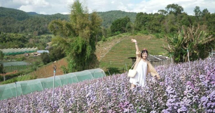 จังหวัดเชียงใหม่