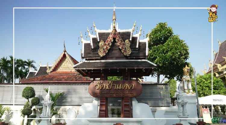 จังหวัดเชียงใหม่
