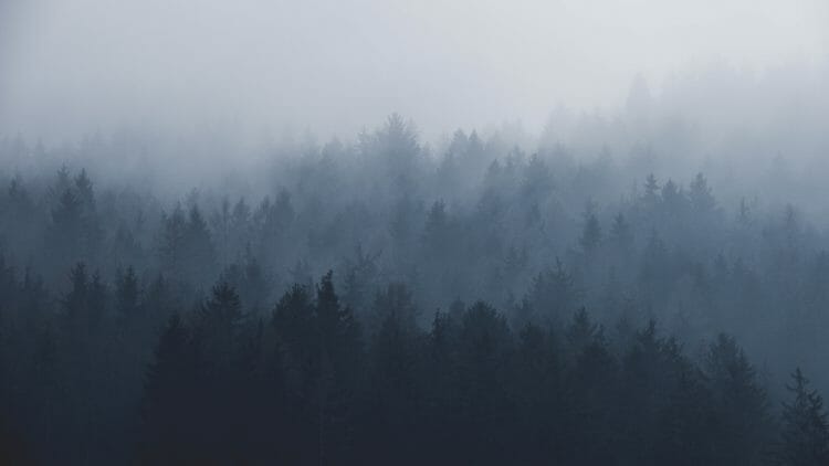 รักเช้าที่มีหมอกเหล่านี้ โดย Paul Pastourmatzis (unsplash.com)