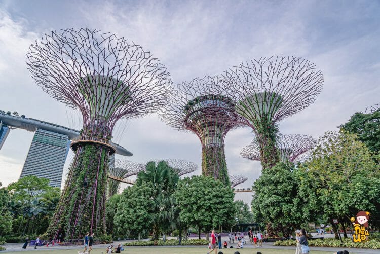 Photo: Supertree Grove @ Gardens By The Bay