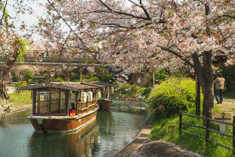 Photo: River channel in park ,Tokyo by Ryutaro (pexels.com)