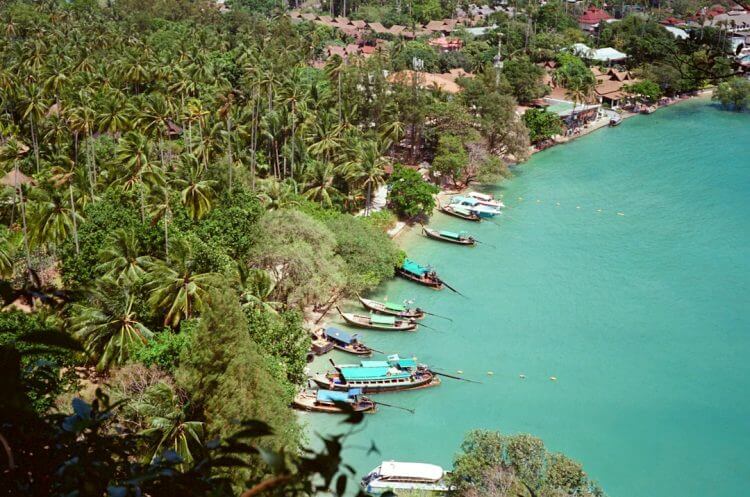 Longtail boats moored along a tropical coastline with palm trees.