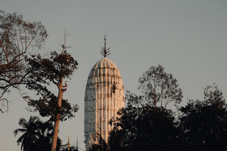 Tall white tower surrounded by trees at sunset