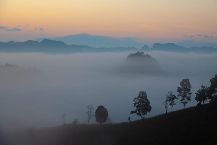 Misty mountains at dawn with silhouetted trees