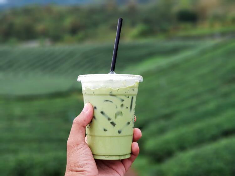 cup of milktea