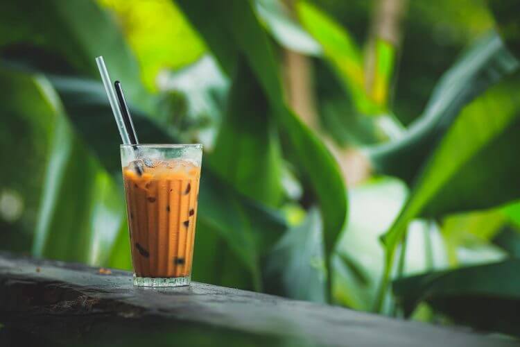 Glass of iced Thai tea with two straws against vibrant green plants, evoking tropical refreshment.