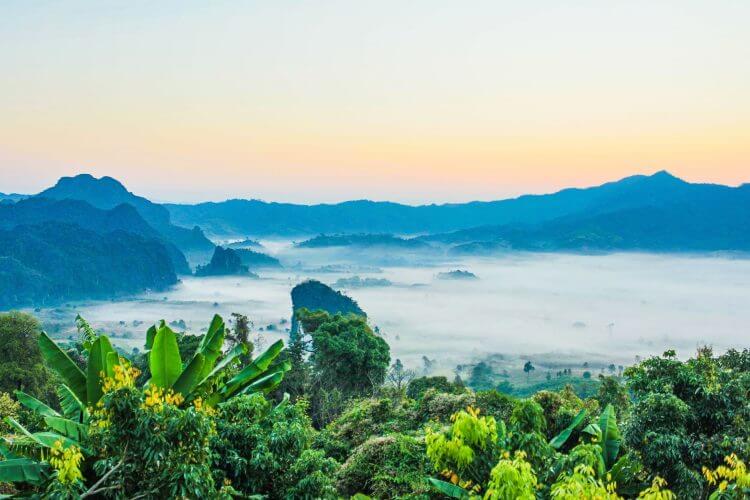 Beautiful tropical landscape with morning mist and lush greenery in a serene valley setting.