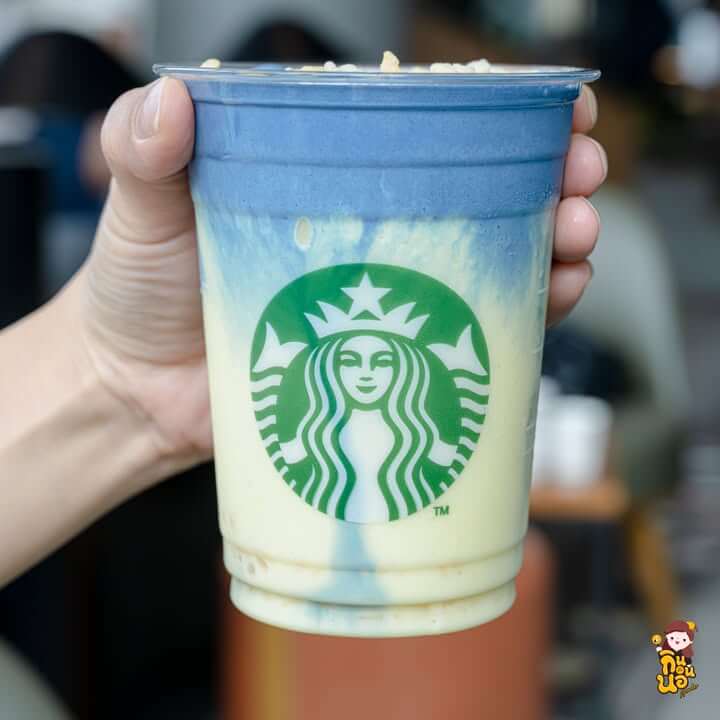 เมนูใหม่สตาร์บัค ทุเรียนปั่นและชาไทยพุดดิ้งคัสตาร์ด